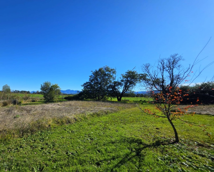 Commercial Property for Sale in Knysna Rural Western Cape